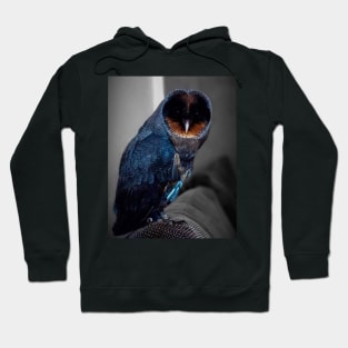 Rare unique black and blue owl Hoodie